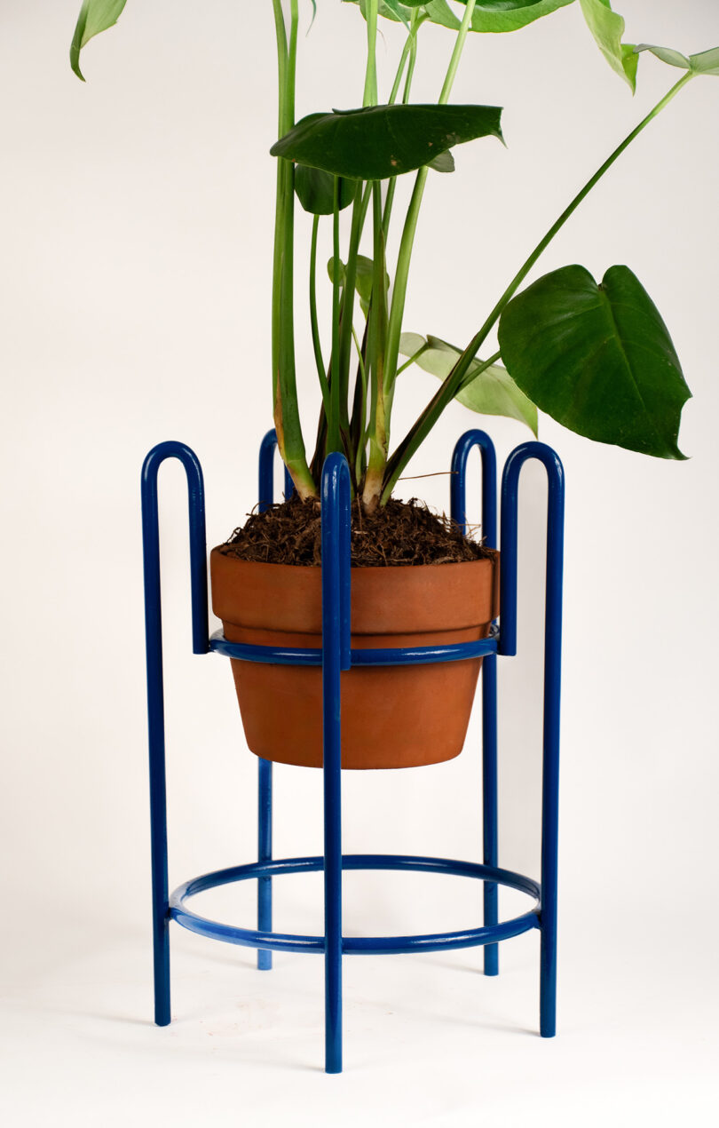 A terracotta pot with green plants is placed in a blue metal planter stand against a plain white background.