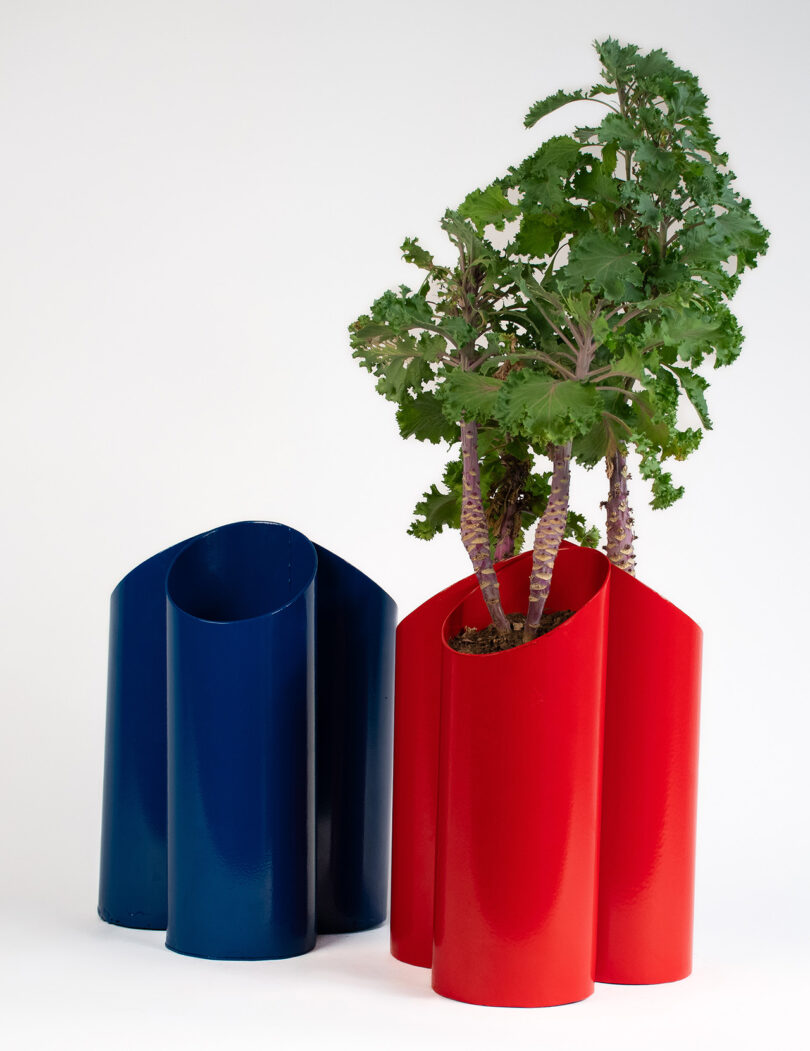 Two colorful cylindrical planters, one blue and one red, with leafy green plants growing from the red one, set against a plain white background.