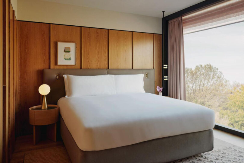 A modern bedroom at The Emory hotel features a large bed, white bedding, wooden headboard, and a small bedside table with a lamp, next to a window overlooking the treetops of Hyde Park, London.