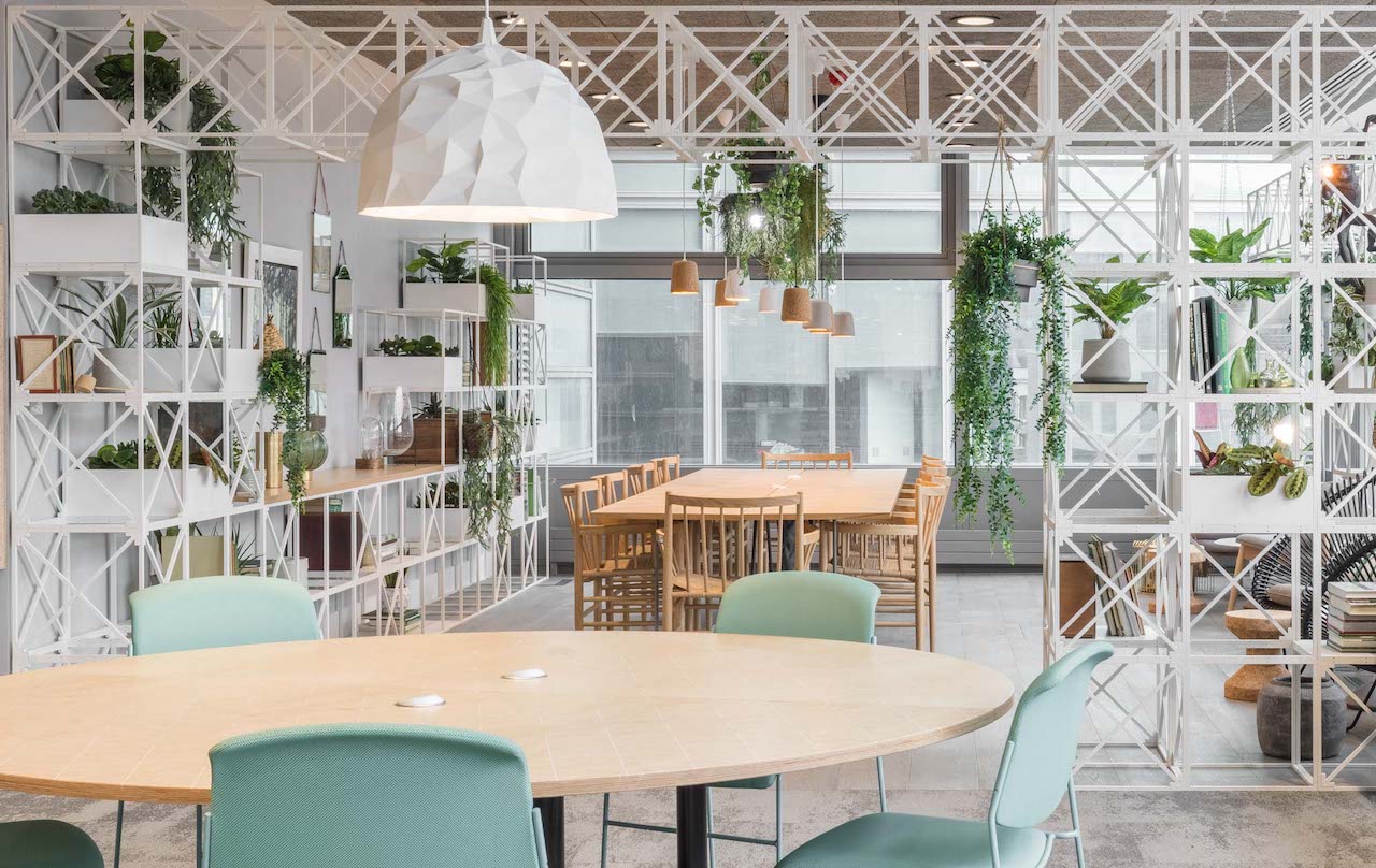 A Nature-Filled Office Is Future-Proofed for Modern Work in London