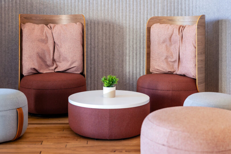 A small round table with a potted plant is surrounded by padded chairs and round ottomans in a cozy seating area with a wooden floor and textured wall