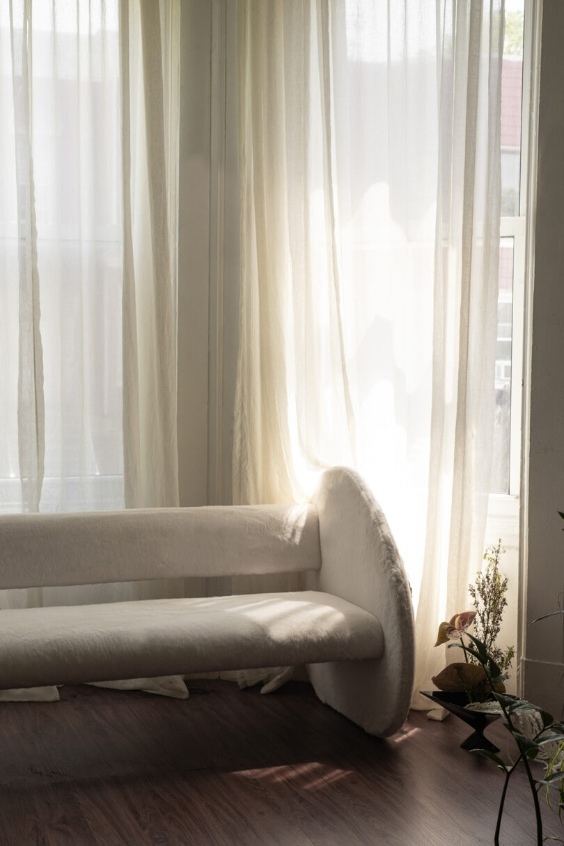 A sunlit room with sheer curtains, a minimalist white bench, and a few small plants by the window.