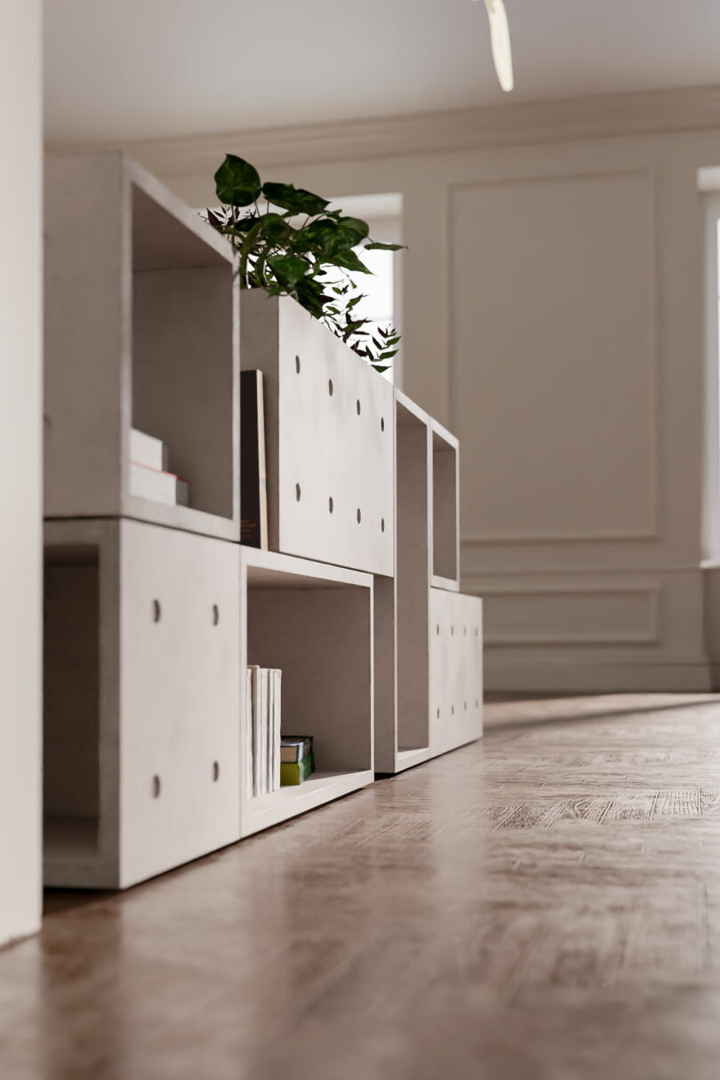 Modern shelving unit with open cube compartments, holding books and a potted plant, arranged in a bright, sunlit room with wooden flooring and white walls.