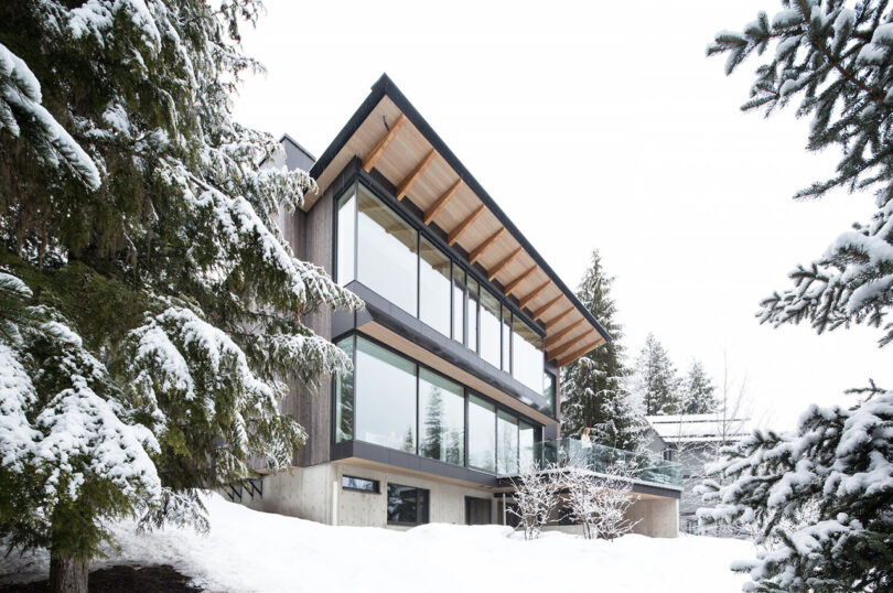 A modern three-story house with large windows and a sloped roof is surrounded by snow-covered trees on a winter day.
