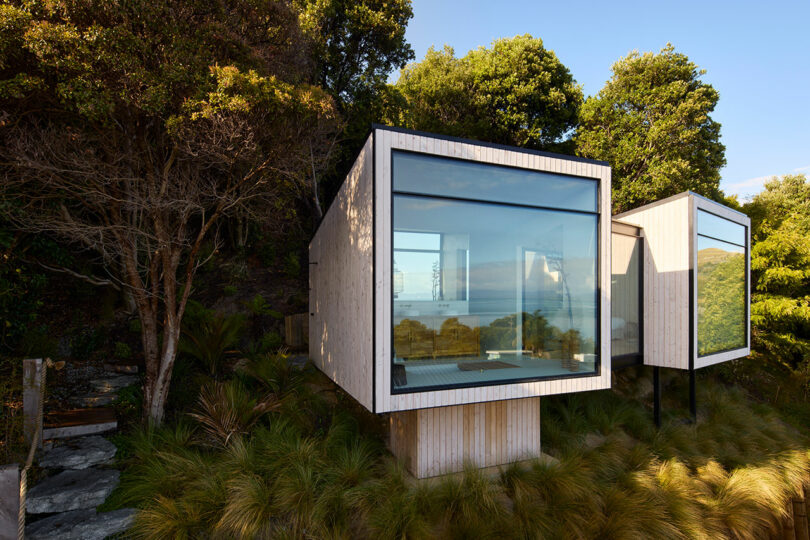 A modern house with large glass windows set among trees, overlooking an ocean view. The surrounding land is grassy with shrubs and trees extending up a small hill.
