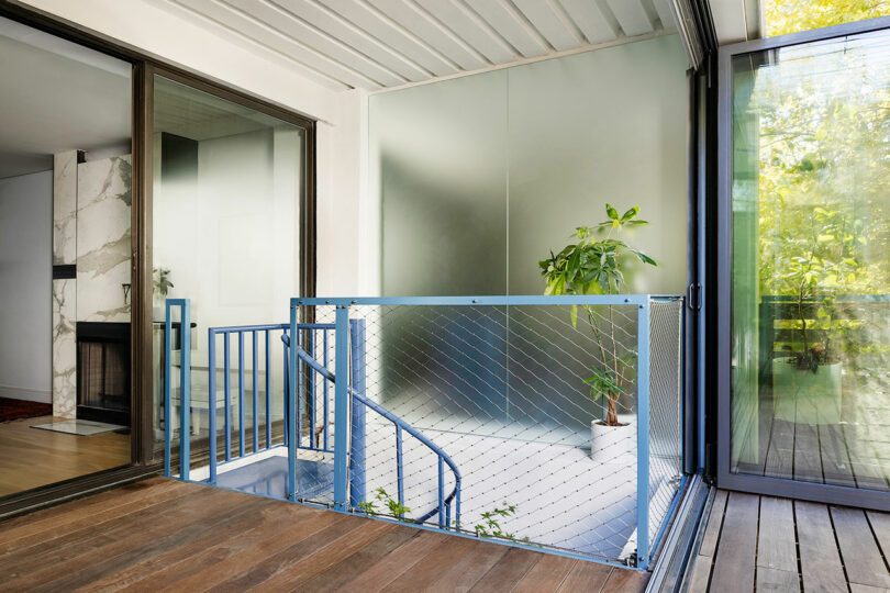 A modern indoor space with a blue metal staircase enclosed by a mesh railing. The area features glass walls, wooden flooring, and a potted plant next to the railing.
