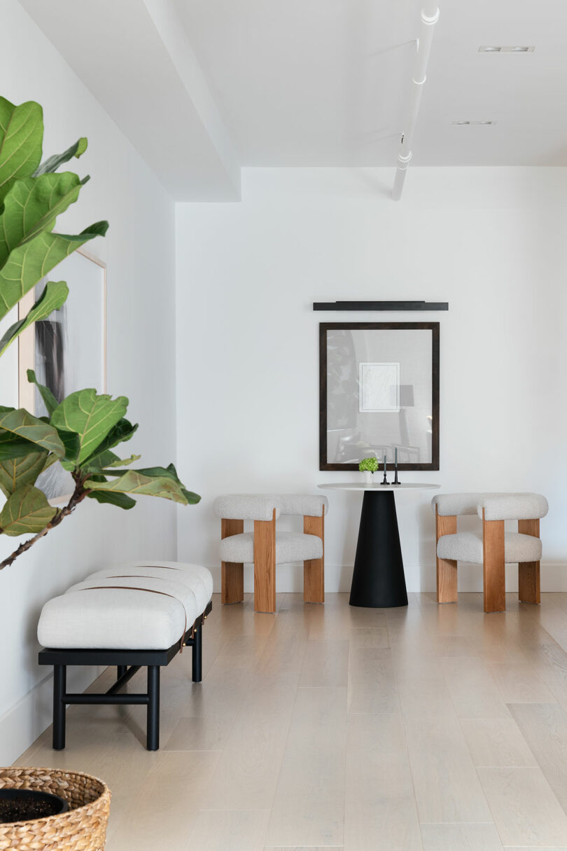 Modern living area with light wood flooring, white walls, two wood-framed chairs, a black side table, a framed artwork, and a potted plant in the corner.