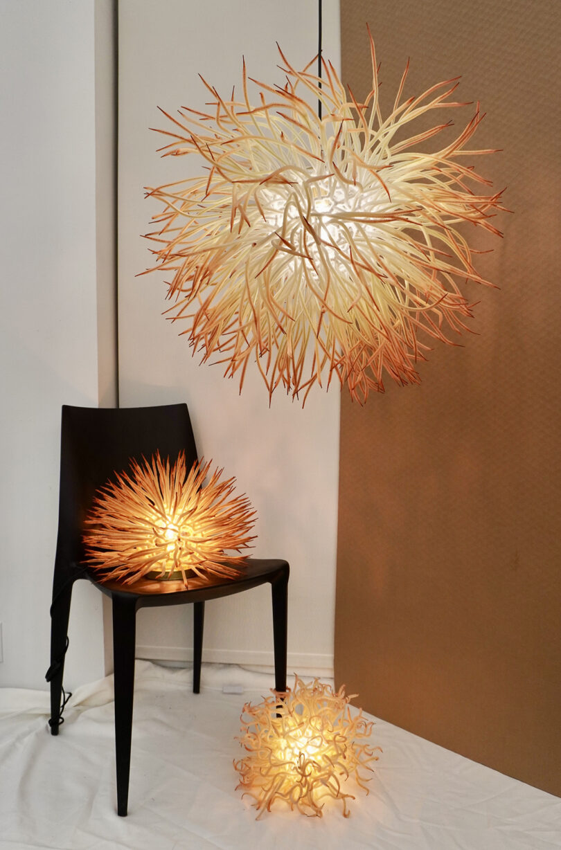 Three artistic lamps resembling sea anemones, one hanging from the ceiling, one placed on a black chair, and another on the floor, all glowing warmly in a room.