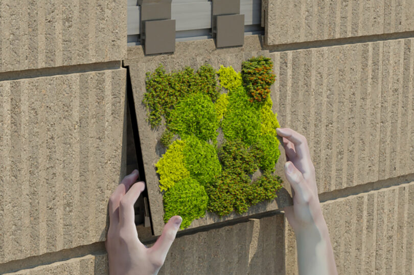 Hands placing a rectangular tile with green moss onto a textured wall, adjacent to a concrete surface with visible metal fastenings.