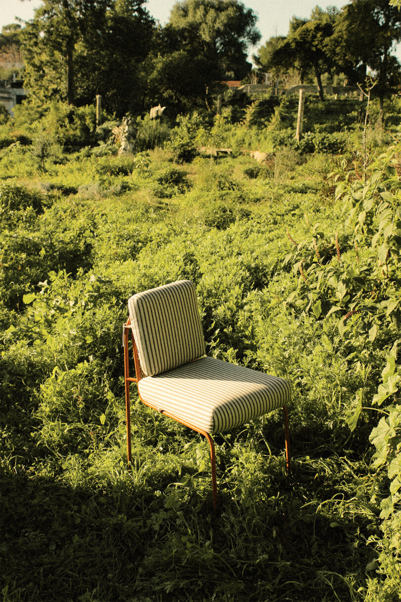 A striped chair stands alone amidst tall greenery and foliage in an outdoor setting.