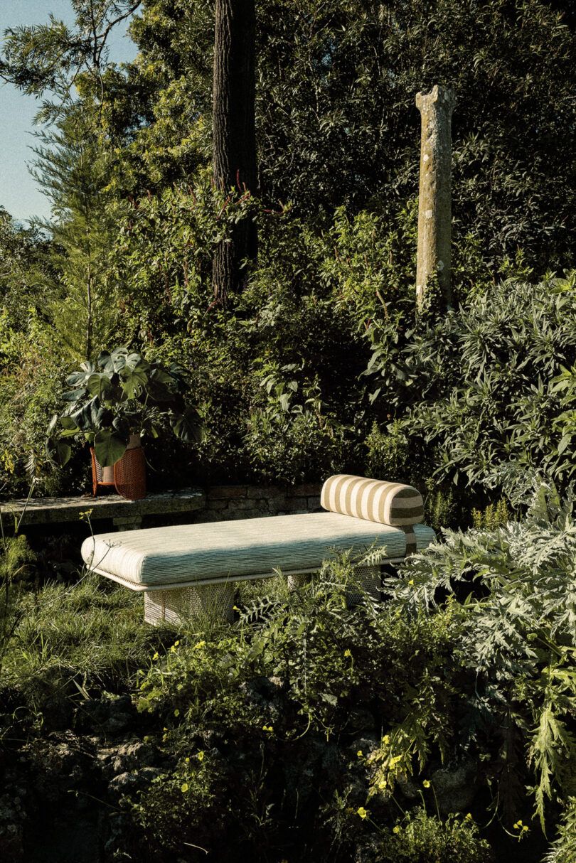 A bench with a striped cushion is surrounded by lush greenery and a tall tree in a garden.