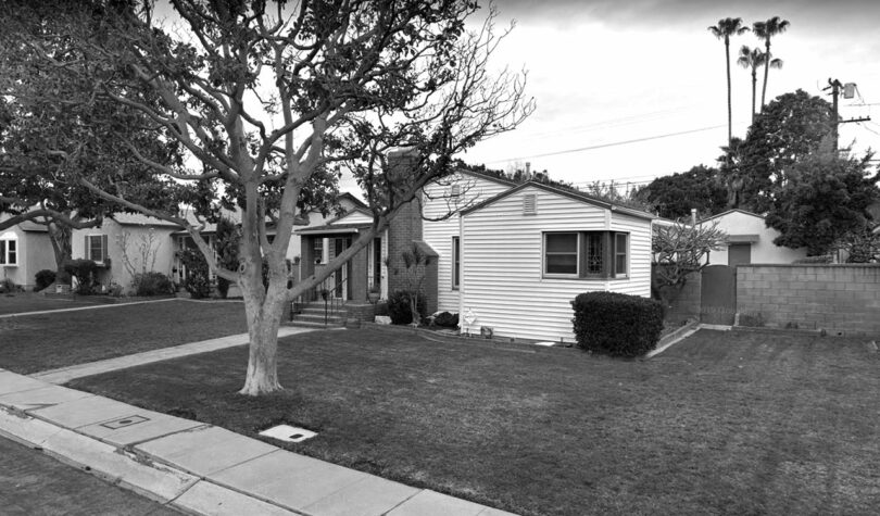 A monochrome image of a suburban street with single-story houses, a manicured lawn, a large tree in the foreground, and palm trees in the background.