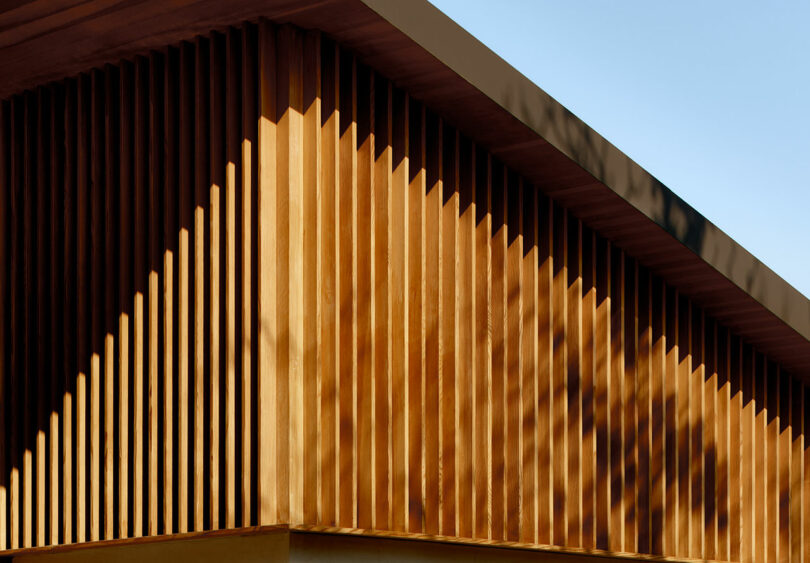 Close-up of a modern building’s exterior featuring vertical wooden slats and a slanted roof against a clear blue sky.