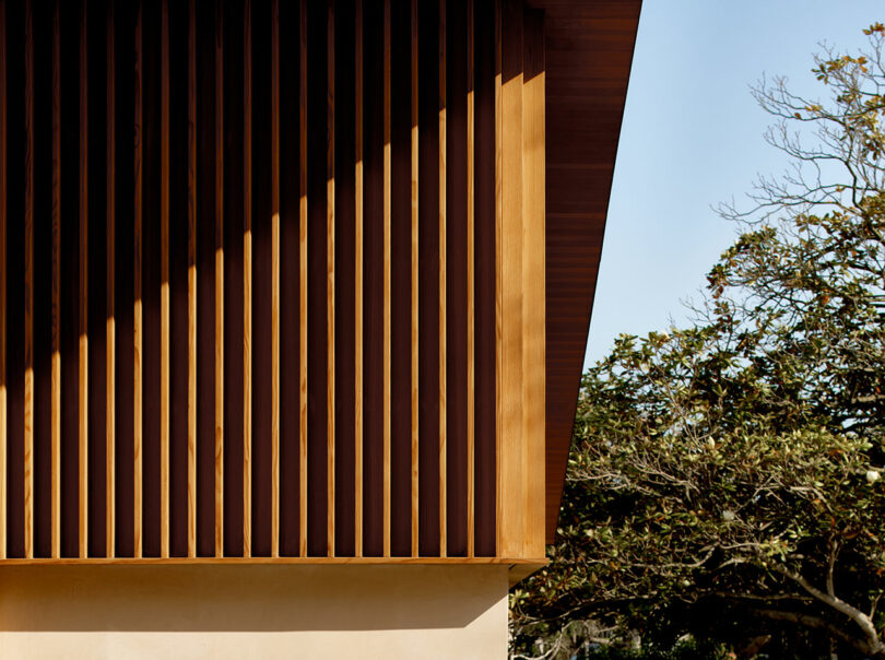 Close-up view of wooden vertical slats on the side of a modern building, with a clear sky and trees in the background.