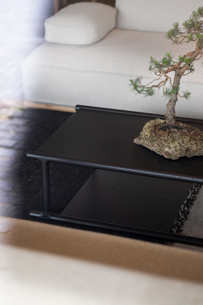 A black coffee table with a small bonsai tree on it is positioned in front of a beige sofa in a modern living room