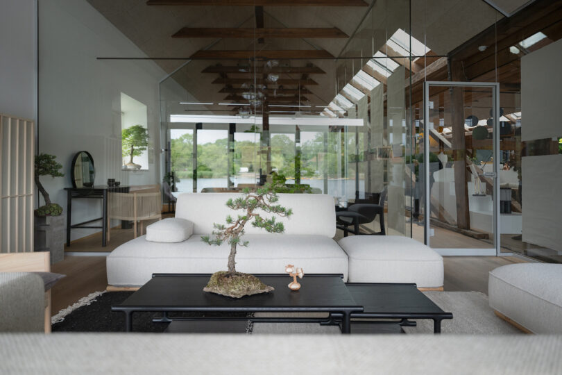 A modern living room with a light gray sofa, a black coffee table featuring a bonsai tree and a small figurine, glass walls, wooden beams, and large windows overlooking a green outdoor scenery