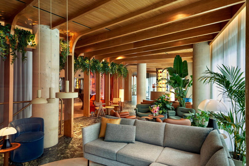 A modern lounge area at BoTree Hotel features wooden ceiling beams, green plants, various seating arrangements, and soft lighting. The decor includes sofas, armchairs, small tables, and hanging lights.