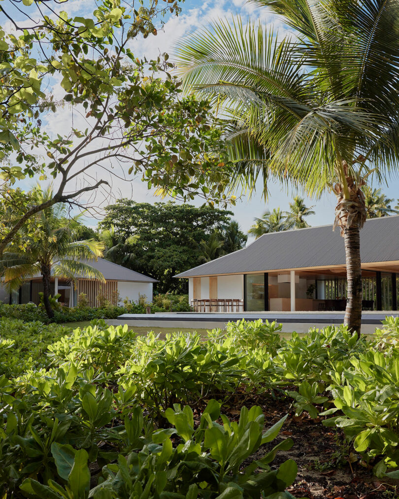 A white modern house with a gray roof is surrounded by lush green vegetation and palm trees under a blue sky with some clouds.