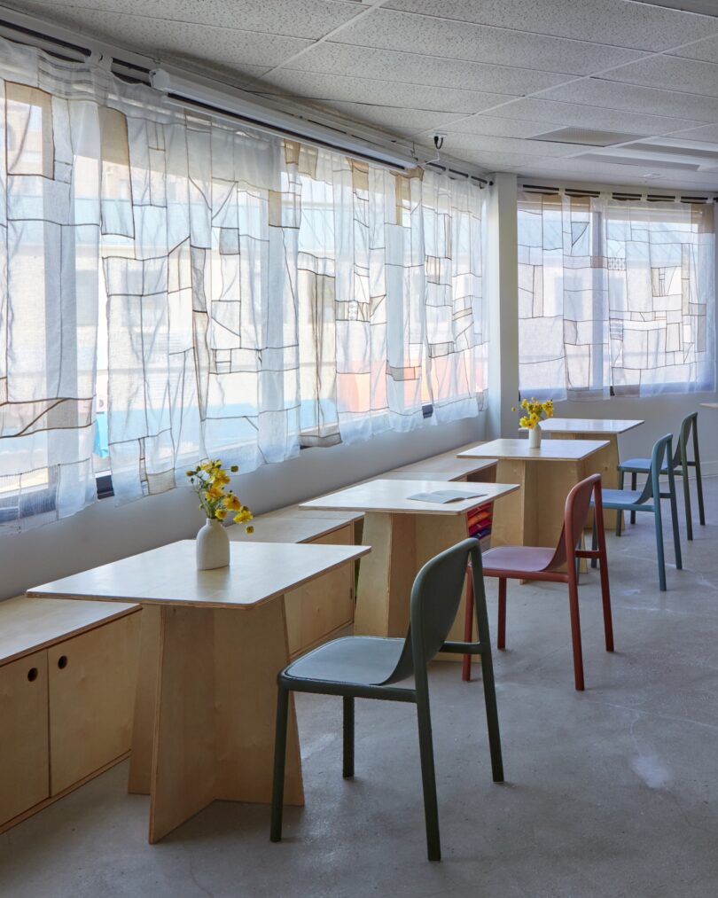 A bright room with large windows, sheer curtains, and several wooden desks and colorful chairs. Vases with yellow flowers are placed on some desks