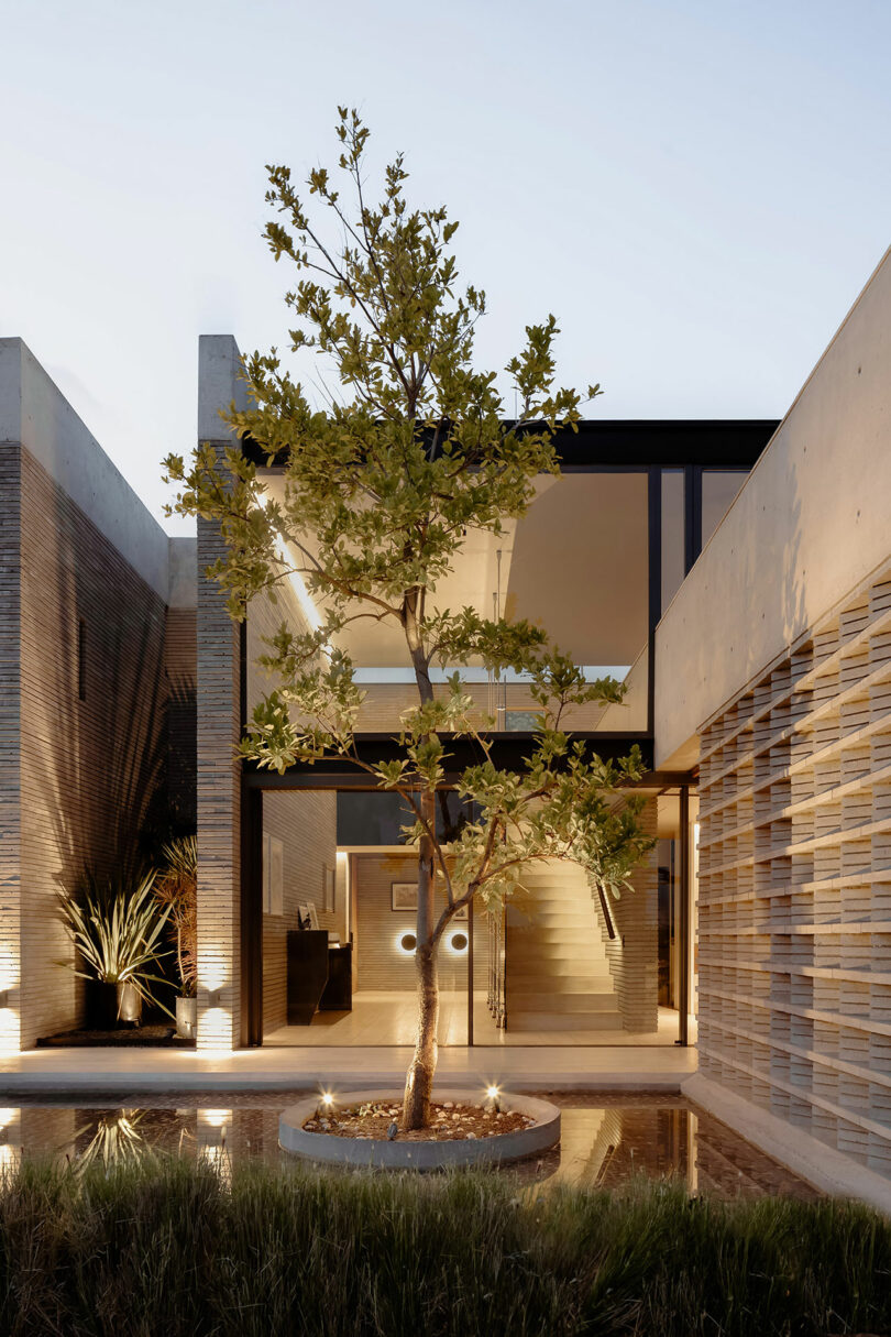 A modern house with large windows, a central tree in the courtyard, and a reflecting pool in the foreground.