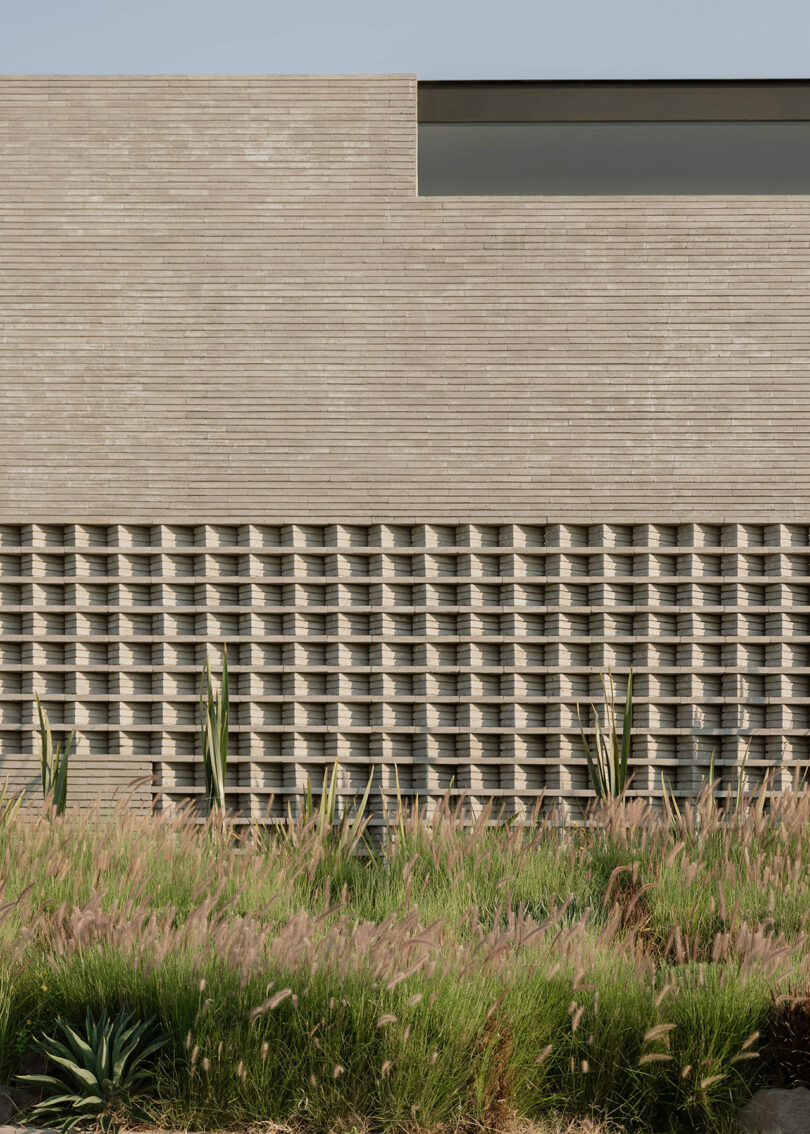 A modern building with a textured, patterned facade stands behind a patch of tall grass and plants. The upper part features a smooth surface, contrasting with the intricate lower brickwork.