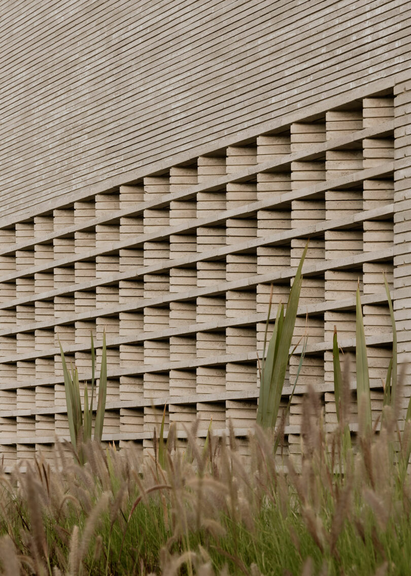 A close-up of a beige brick wall with a geometric pattern, featuring staggered horizontal bricks. In the foreground, there are tall green plants and grass.