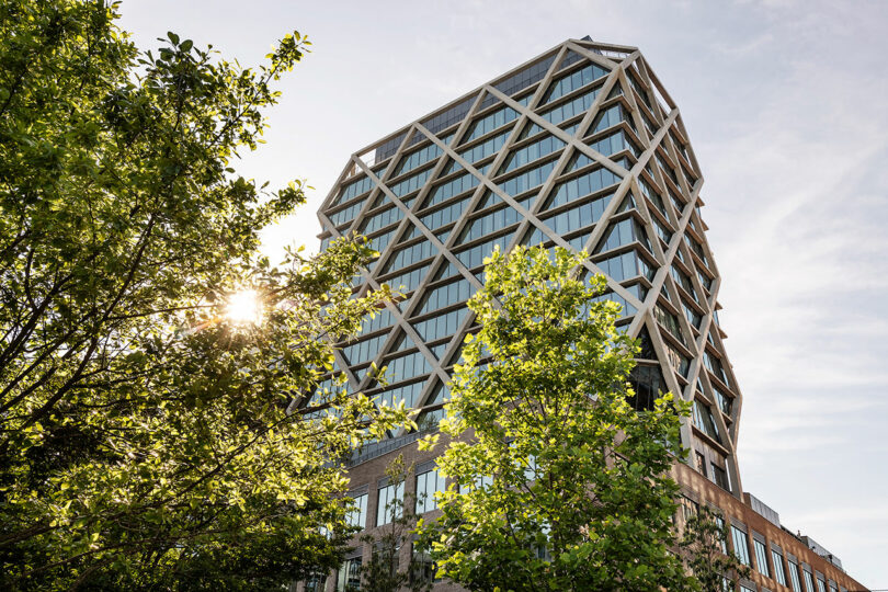 A modern skyscraper with a diamond-shaped façade reminiscent of the elegant FORTH Hotel is partially obscured by green trees with sunlight shining through their branches.