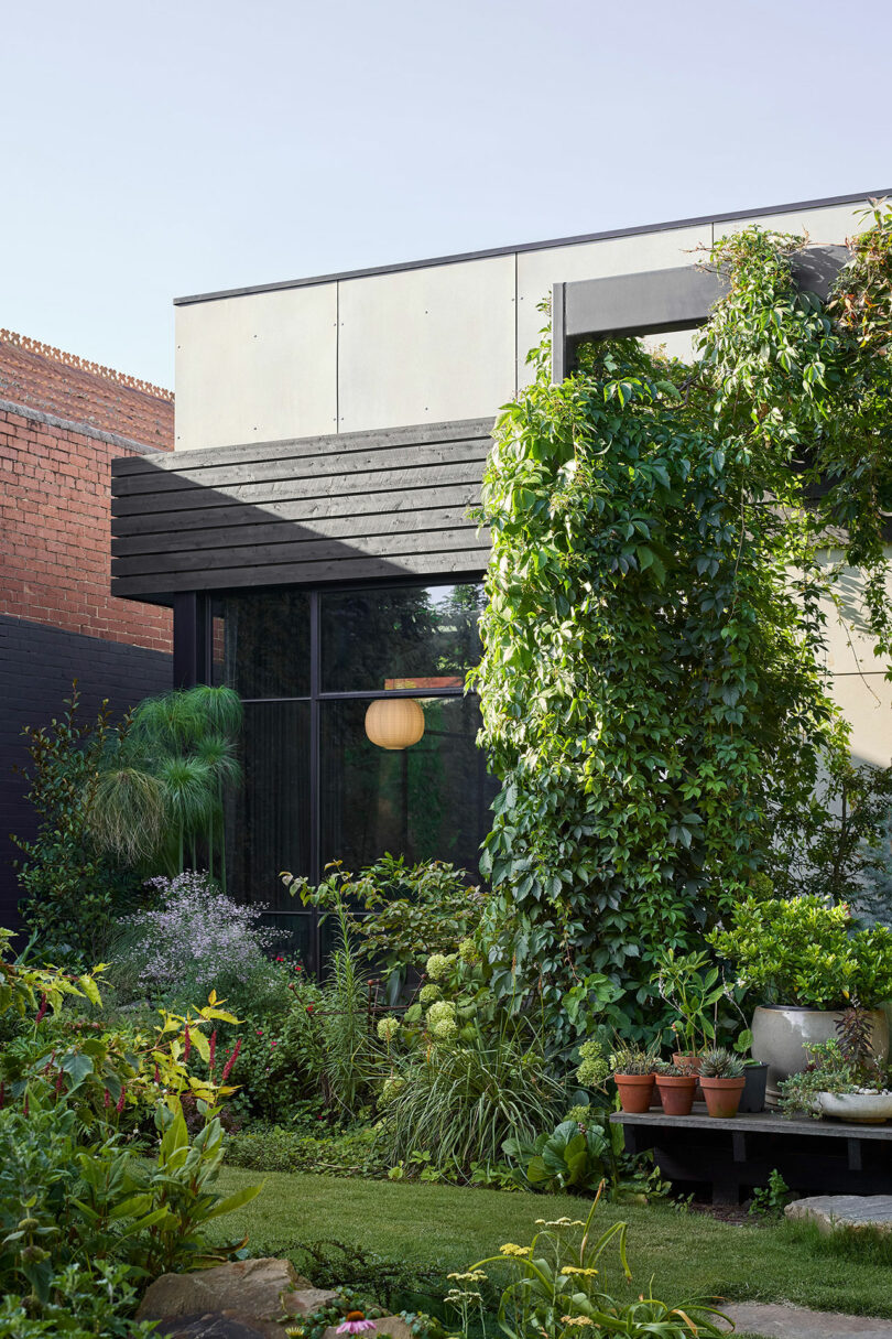 Modern building with large windows, surrounded by a lush garden filled with various plants and greenery, and a hanging light fixture visible through the window.