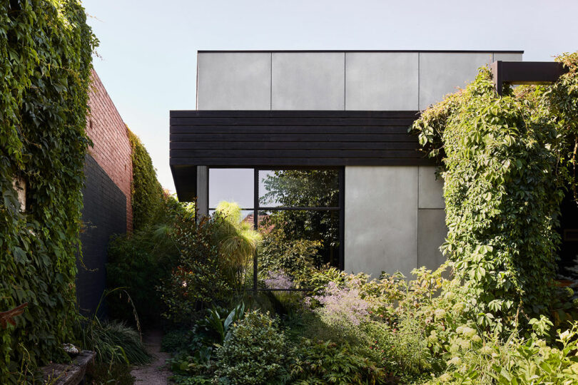 A modern house covered with greenery, with a mix of concrete and black wooden exterior elements, surrounded by lush plants and foliage.