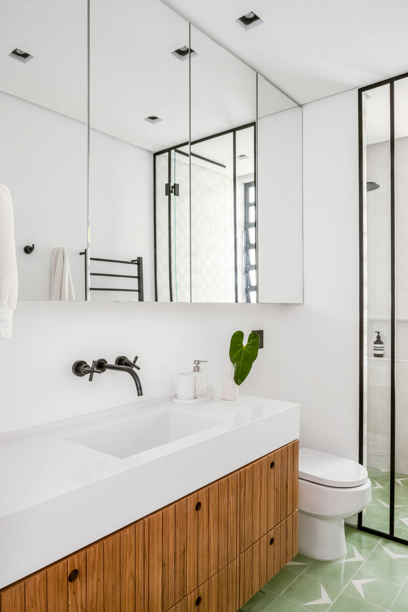 Modern bathroom with white fixtures, wood vanity, and green tile floor. Mirrored cabinets reflect a glass shower door; a towel hangs on a black rail. A green plant sits on the counter.