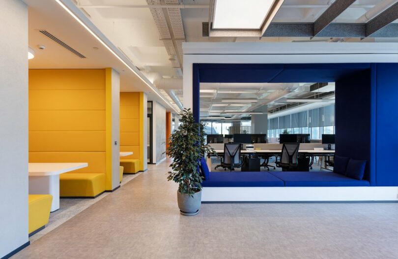 A modern office space with a mix of blue and yellow decor, featuring seating booths, workstations, and a large potted plant. Open ceiling design with exposed ducts is visible.