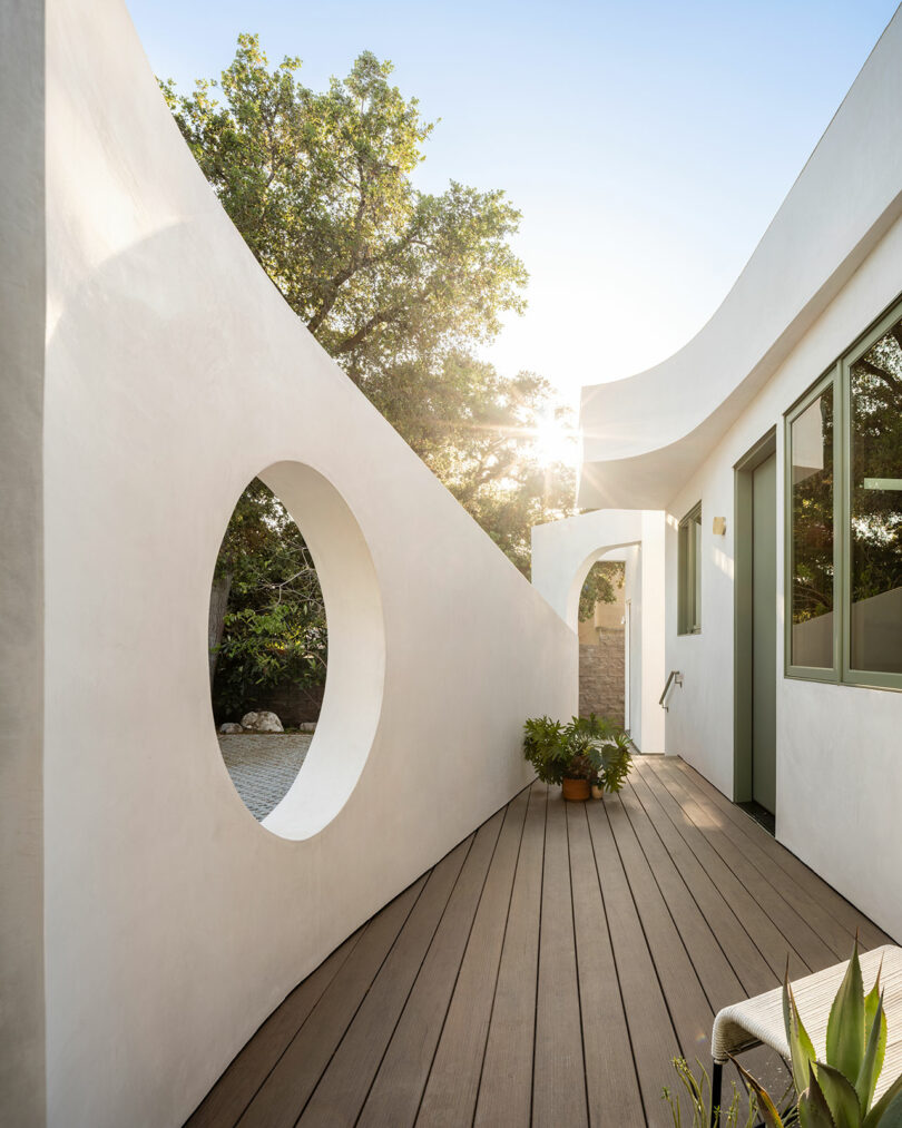 A modern architectural pathway with curved white walls, a circular cutout, wooden flooring, and green plants, leading to an outdoor area under a clear sky.