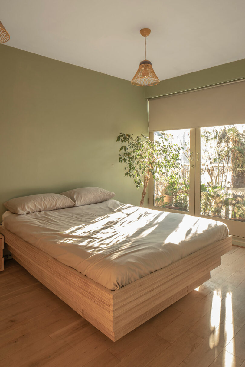 A bedroom with a platform bed, light wood floors, green walls, and a large window with a leafy view.