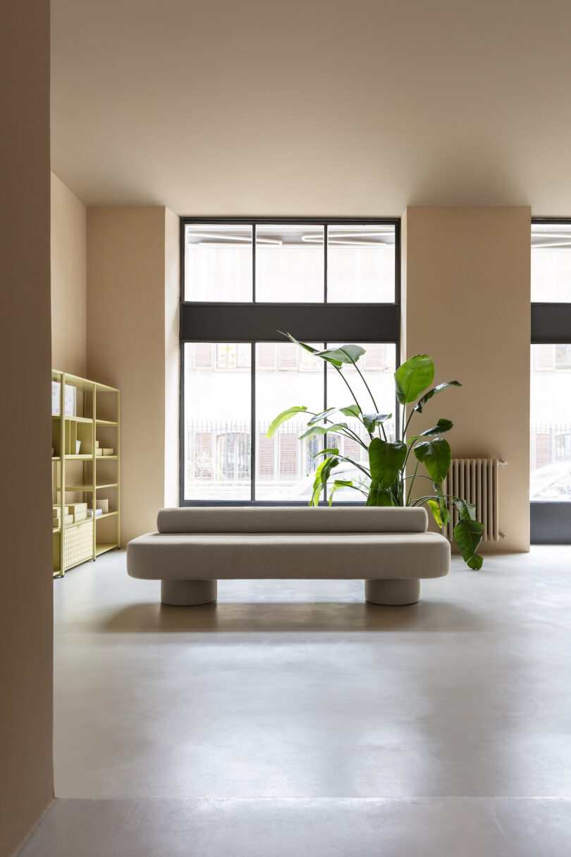 A minimalist room features a neutral-colored couch, a potted plant, and shelves. Large windows allow natural light, creating an airy atmosphere