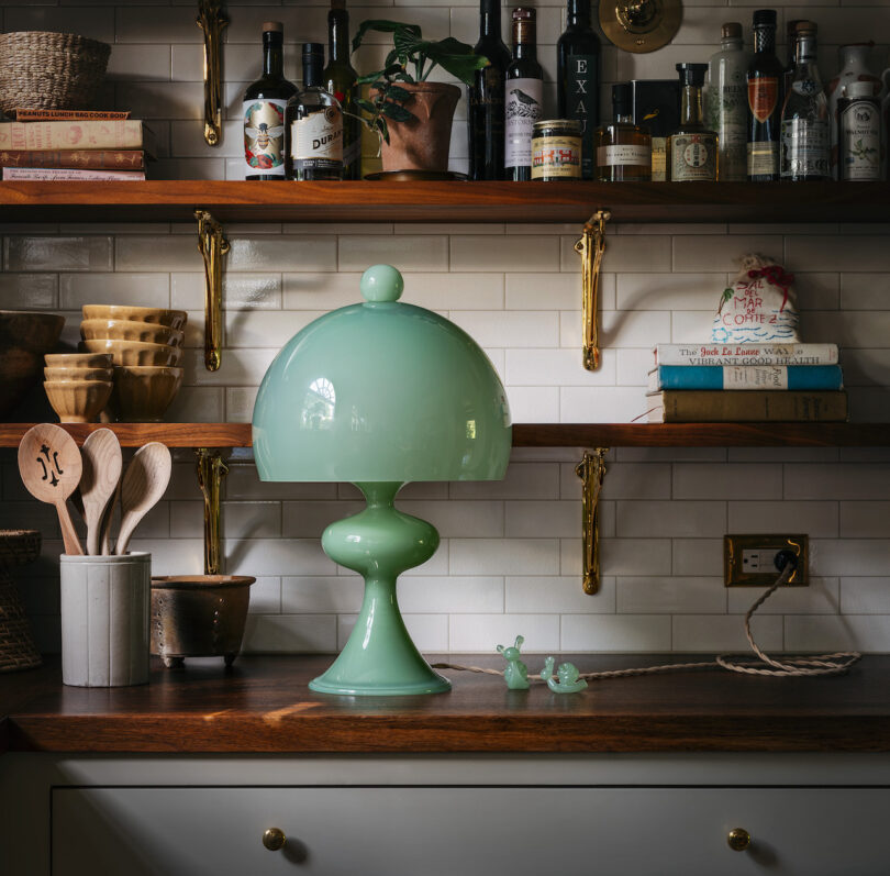 A kitchen shelf holds various bottles, potted plants, bowls, wooden utensils, a stack of books, a ceramic green lamp, and two small green snail figurines on a wooden countertop