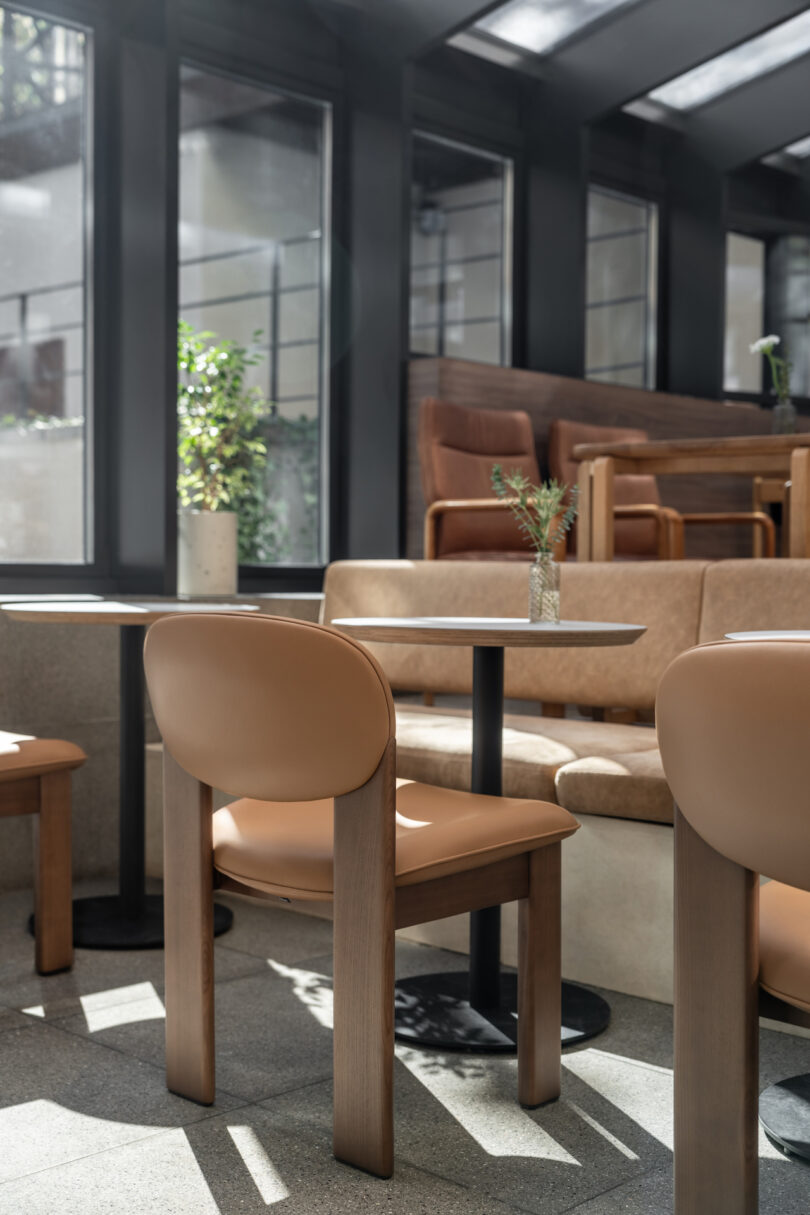 Sunlit interior of a modern café with beige cushioned chairs, wooden tables, and minimalist décor. A small plant in a vase sits on one of the tables