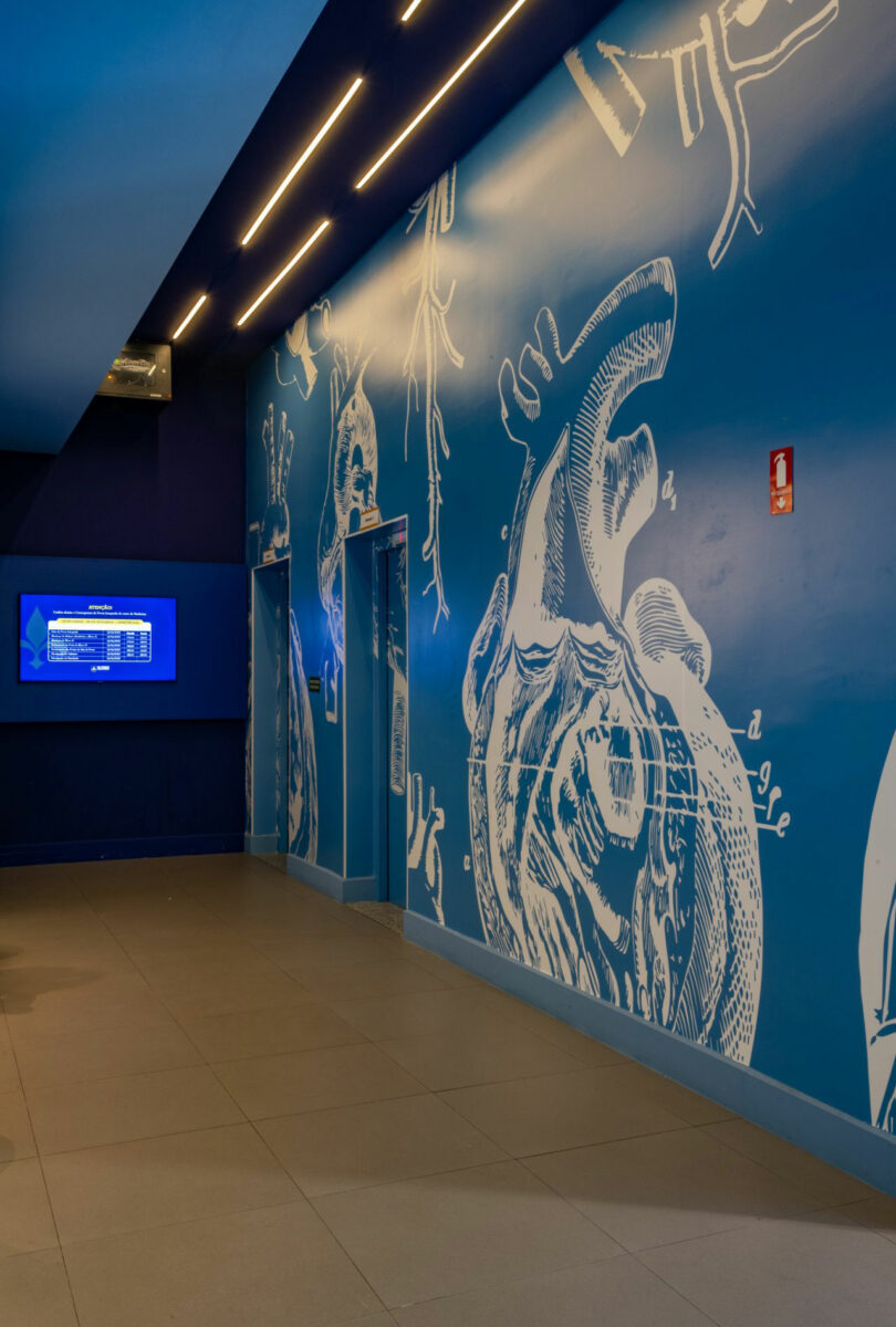 A hallway with blue walls featuring white anatomical illustrations designed by Estúdio Protobox. Two elevators are in view on the left, with a digital screen displaying information nearby.