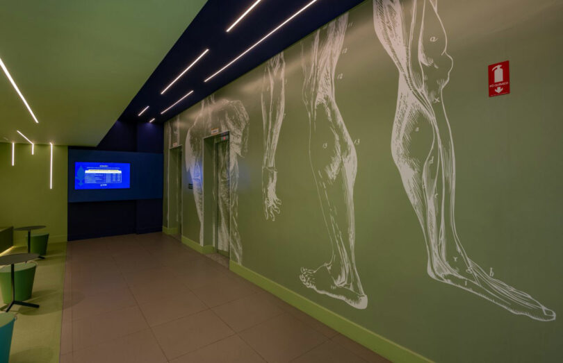 A hallway with green walls featuring anatomical illustrations of legs. There is a blue monitor on the left wall, a fire extinguisher mounted on the right, and a small plaque.