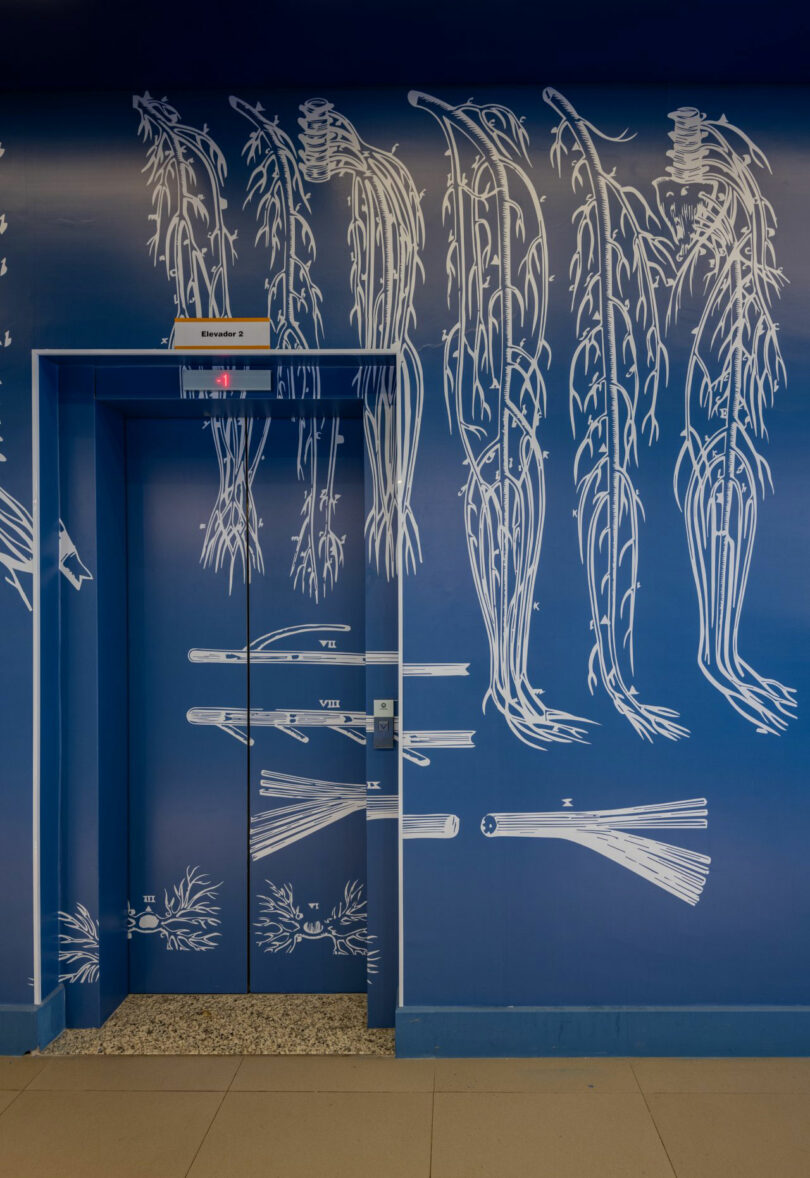 A blue wall with white, anatomical drawings surrounds an elevator door in what appears to be a medical or scientific facility, designed by Estúdio Protobox.