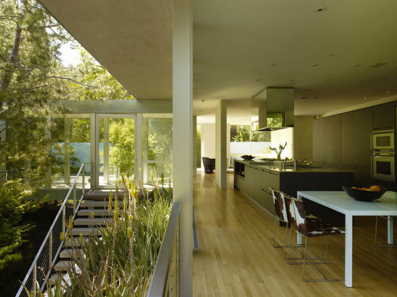 Modern kitchen and dining area with Ron Radziner's signature sleek furniture, stainless steel appliances, and wooden flooring, connected to an outdoor space with greenery visible through large windows.