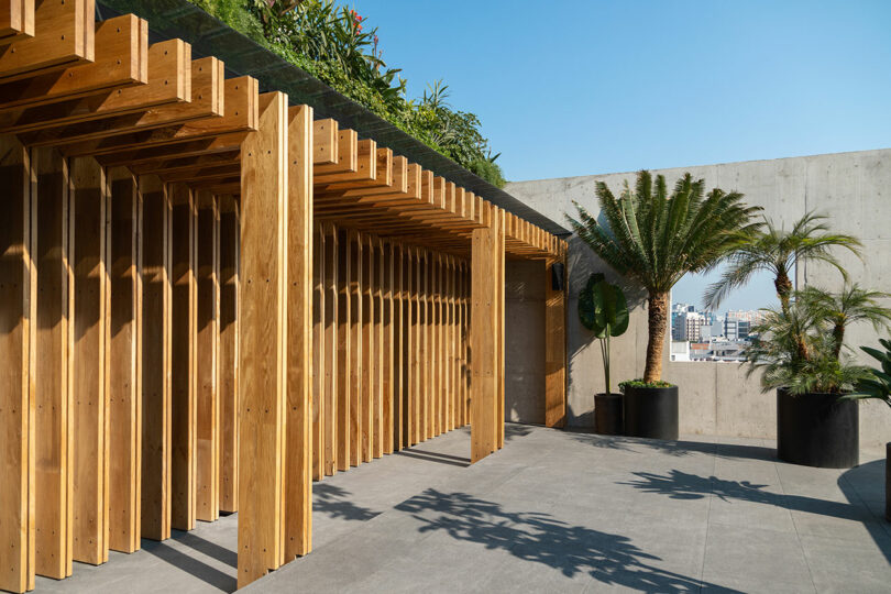 Outdoor patio at Hotel Volga with a wooden pergola, concrete walls, and potted tropical plants under a clear blue sky.