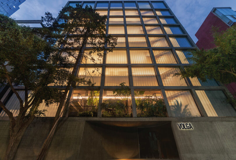 A modern, multi-story building with large windows and greenery, seen from street level in evening light. The sign on the building reads "Volga."