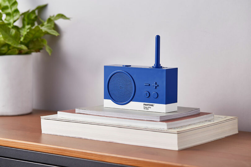 A blue and white retro-style radio sits on top of stacked books on a wooden surface, with a green plant in the background.