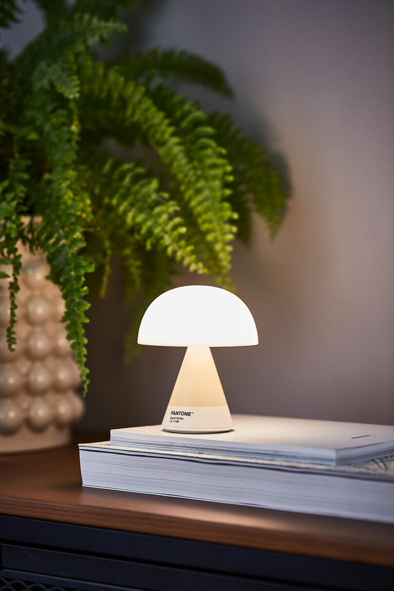 A small white mushroom-shaped lamp is lit and placed on top of a stack of books on a wooden table, next to a potted fern plant.