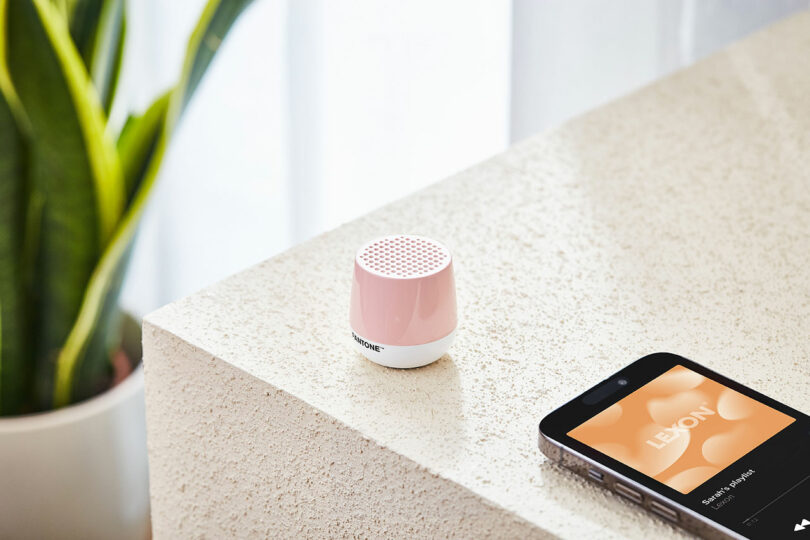 A small pink and white wireless speaker sits on a beige surface next to a smartphone displaying a music app. A plant is in the background.