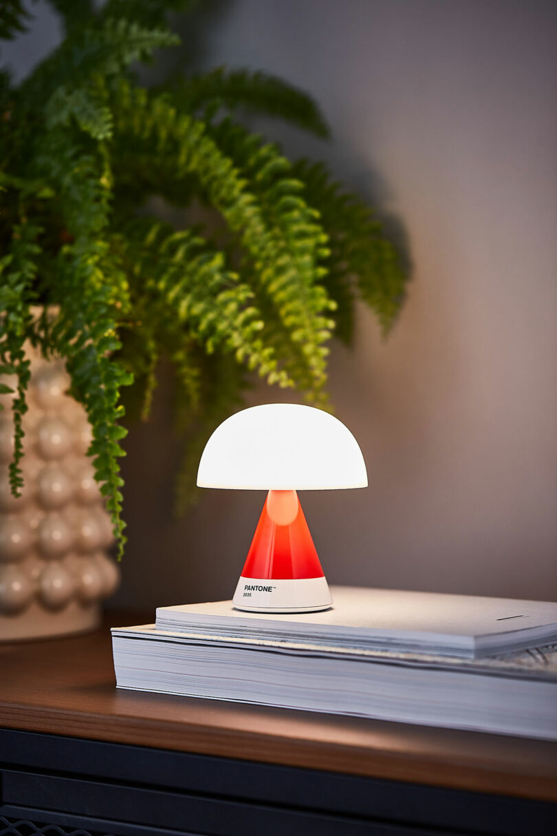 A small table lamp with a red base and white dome shade sits on a closed book, next to a potted fern plant.