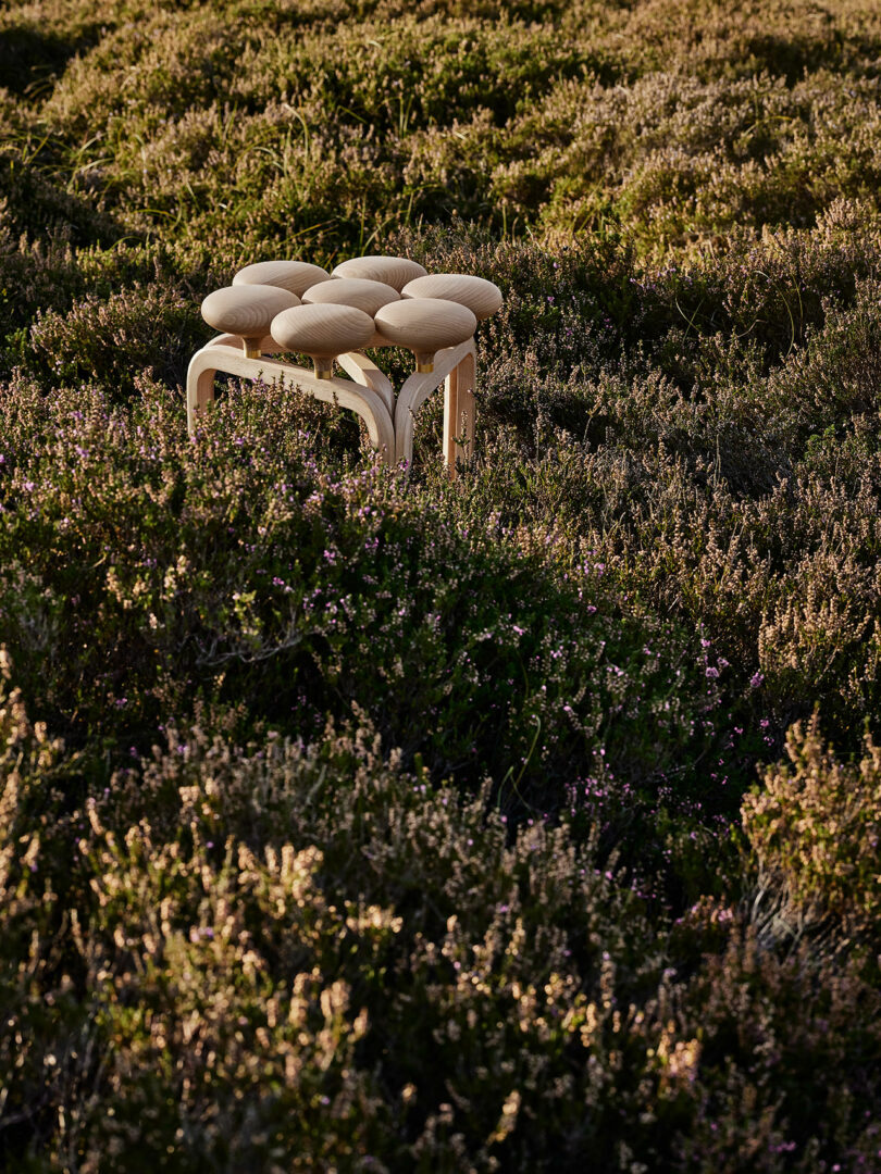 An Utzon Stool with six round padded seats sits amidst dense, green vegetation in an outdoor setting.