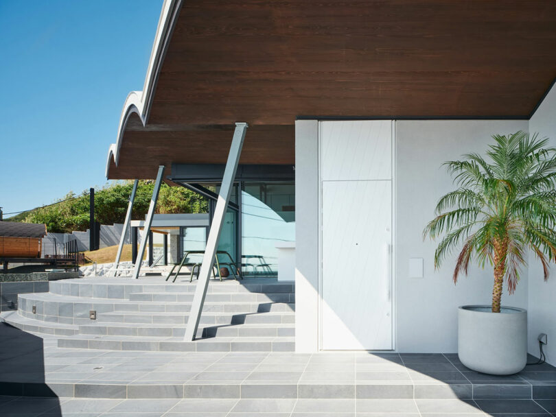 Modern architectural entrance with large overhang, gray tiled steps, and a potted palm plant next to a white door.