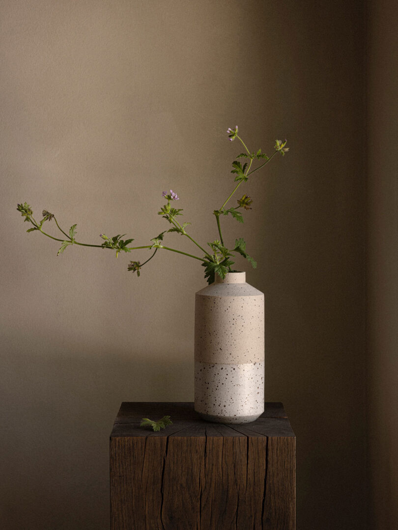 A speckled ceramic vase with a long-stemmed plant sits on a wooden surface against a plain beige wall.