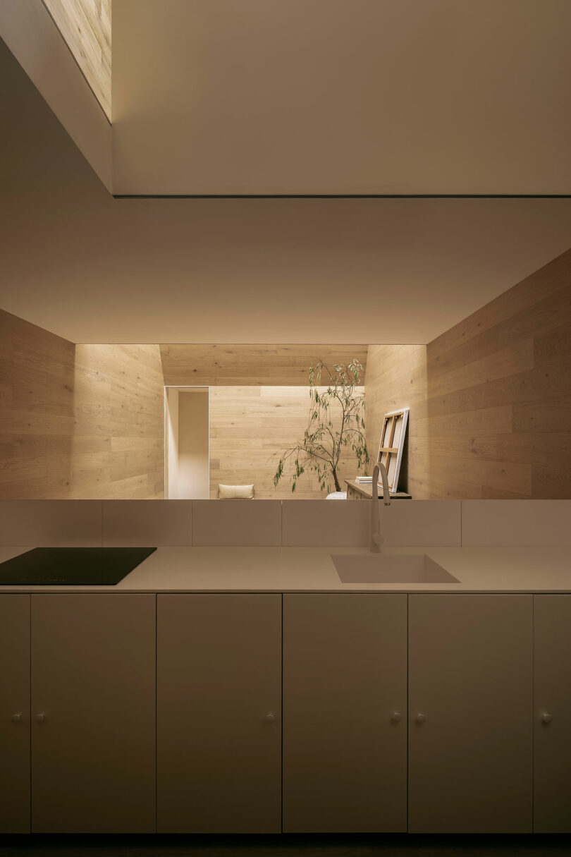 Minimalist kitchen with wooden walls, a white countertop, and modern sink. A small plant and framed picture are on the counter, with soft lighting enhancing the serene atmosphere.